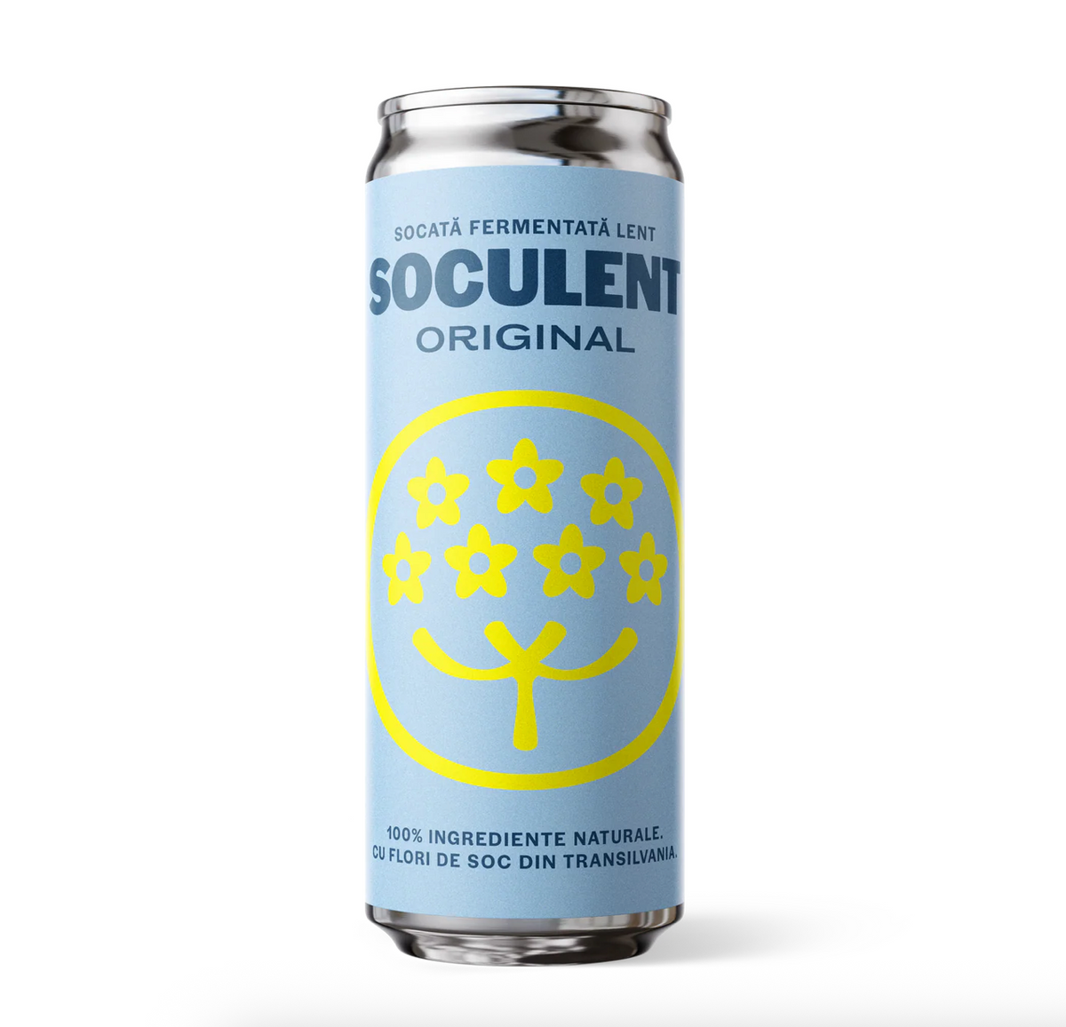 Socata Fermentata Lent 